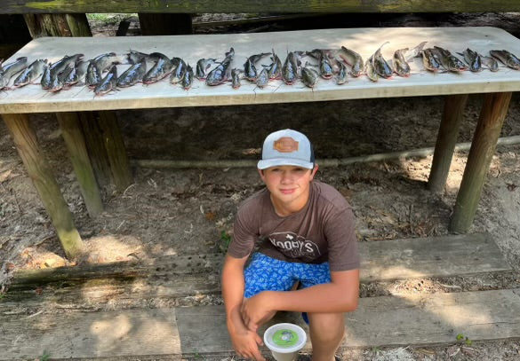 Cole's Catfish Candy 1 Pound Tub